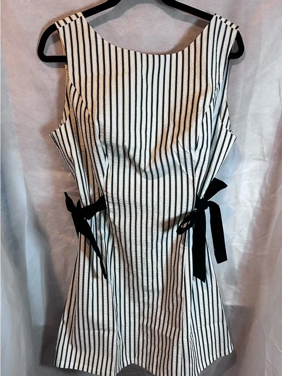 wild fable Black and White Vertical Stripe Mini Dress with Side Ties - Picture 1 of 6